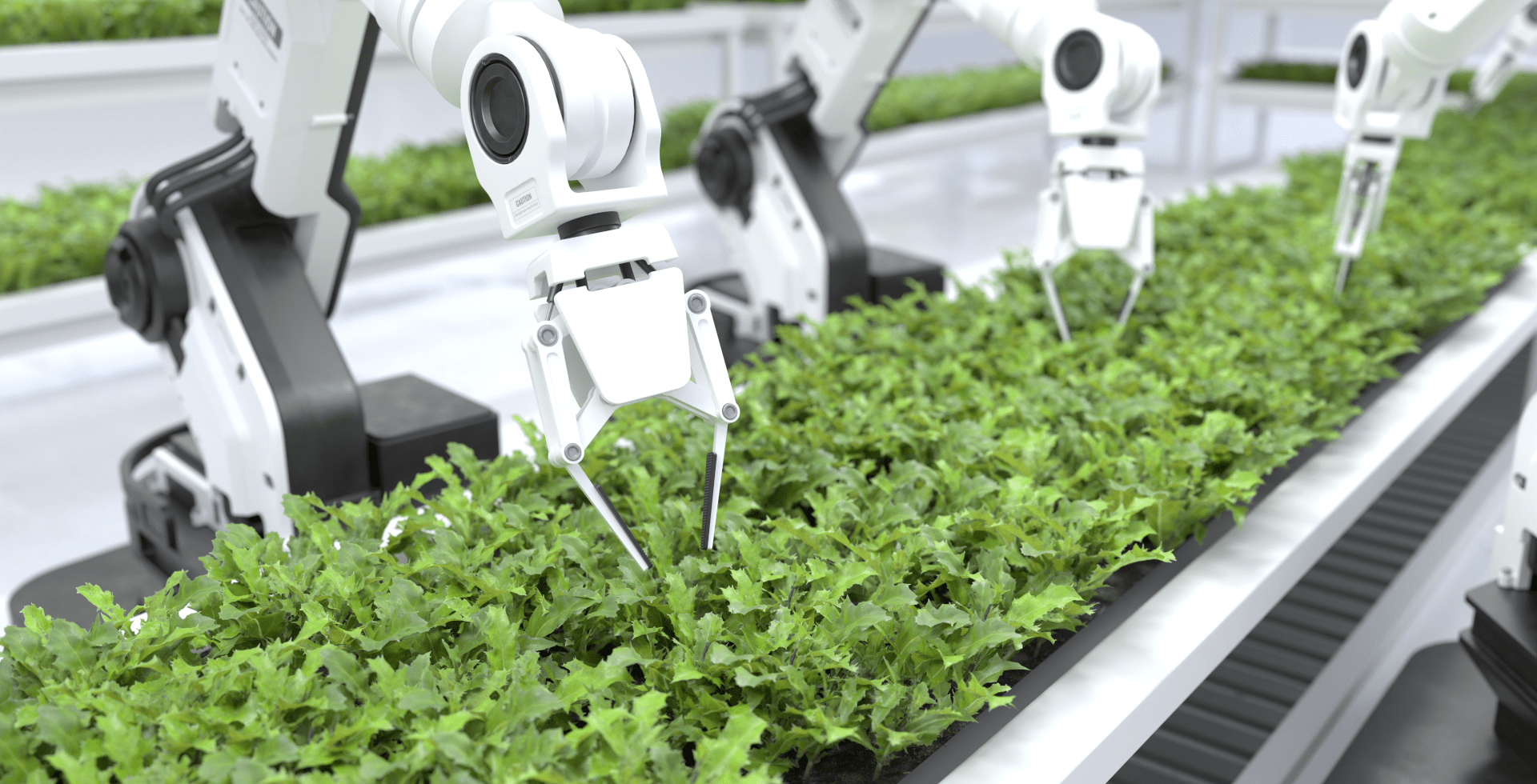 artificial-intelligence-farm