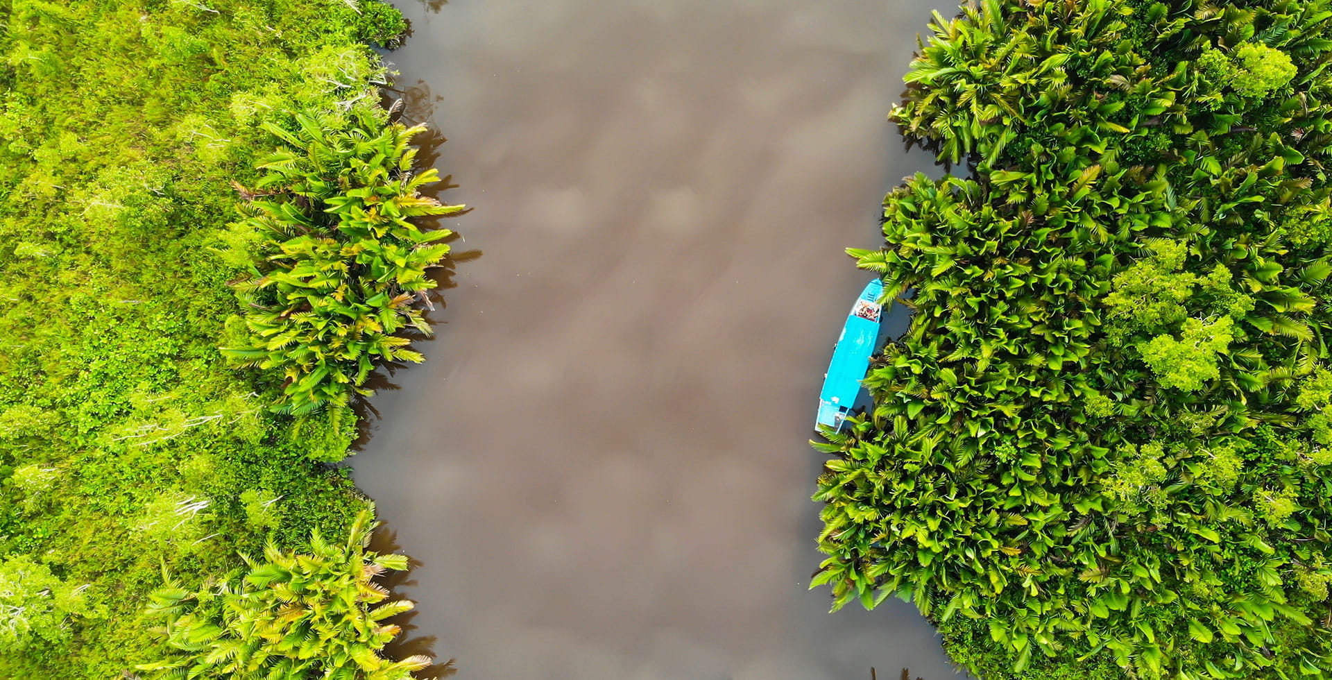 Fostering a low-carbon economy